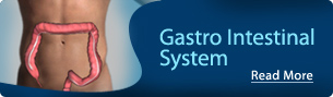 Gastro Intestinal System