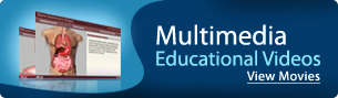 Multimedia Educational Videos