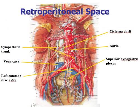 Retroperitoneal Space